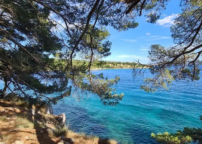 Villa Luxury White Sails With A Multi Sport Court And Sea View