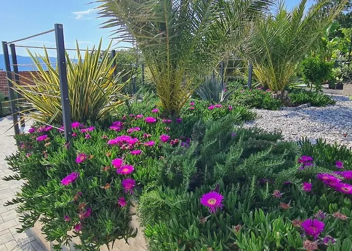 Villa Luxury White Sails With A Multi Sport Court And Sea View Pinezići